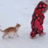 CE_BodySlam2