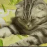 CE_Tired2