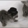 CE_SlapOfDeath