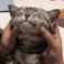 CE_Scrunch