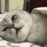 CE_SleepTime CE_SleepTime