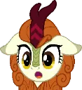 autumnsurprisedface