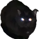 taroloaf