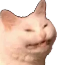 grincat
