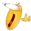 WTF