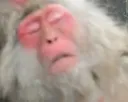 hhhhhhhhhhhhhh