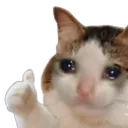Catthumbsup catthumbsup Discord Emoji