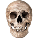 be_skull