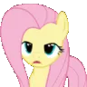 TR_flutterannoy TR_flutterannoy
