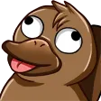 nowayDerp