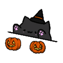 halloweencat