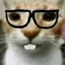 nerdcat