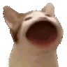 PagCat