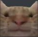 bruh