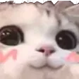 xin3