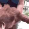 feral