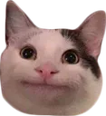 Imencat1 Discord Emoji
