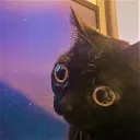Cat Despair catdespair Discord Emoji