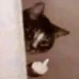 Cat Finger Discord Emoji