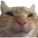 Swag Happy Cat Discord Emoji