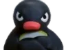 penguinbraindent