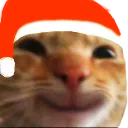 chribmascat Discord Emoji