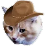 meowdy