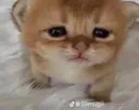 eugh eugh
