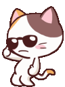 meongcool