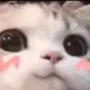 Cat Smile2 catSmile2 Discord Emoji