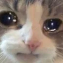 cry Discord Emoji