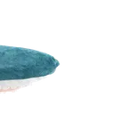 TPA_Blahaj_4 TPA_Blahaj_4