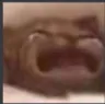 ff_cat_cry