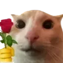 teneFlowa