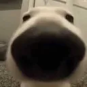 emoji_6