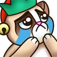 wlgNycry