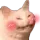 BlushCat