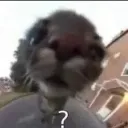ummmm