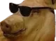 pohuiez