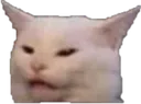 Lettucecat Discord Emoji