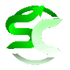 Sportscap15