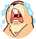 cry2