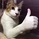 Bueno