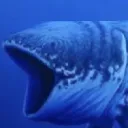whalepog