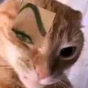 stink_eye
