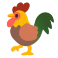 cock