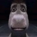 bro