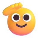 fnSalute