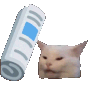 kzCatBonk