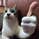 okcool okcool